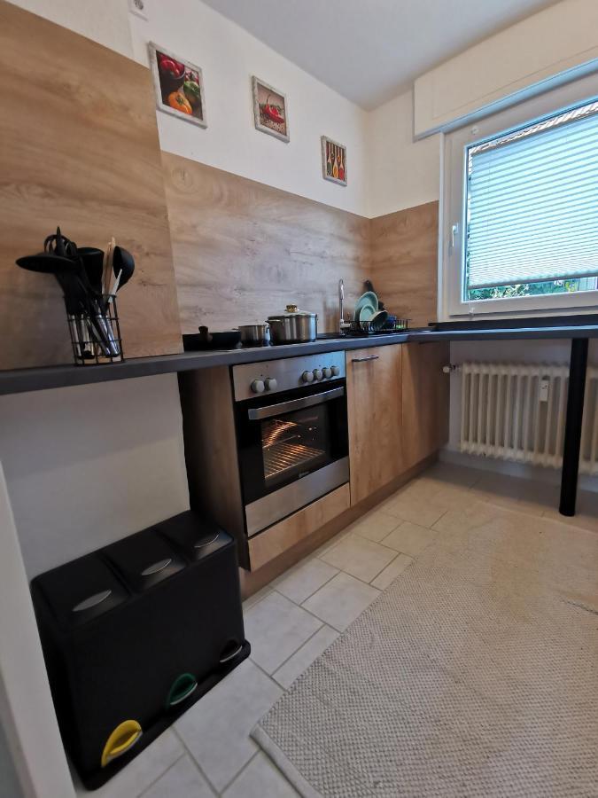 3 Zimmer-Apartment Mit Terrasse 盖恩斯巴赫 外观 照片