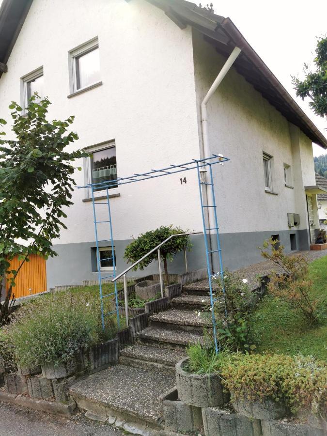 3 Zimmer-Apartment Mit Terrasse 盖恩斯巴赫 外观 照片